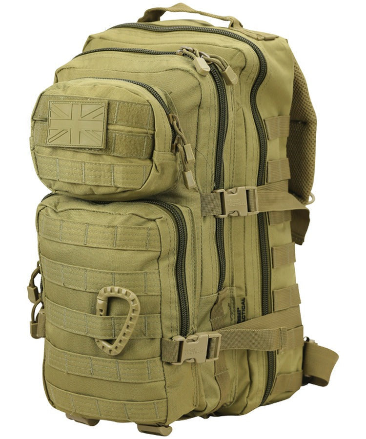 Small Assult Backpack in Dessert Ops
